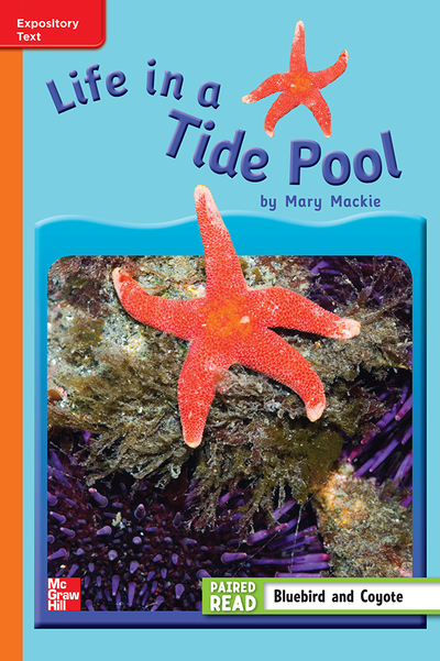 Reading Wonders Leveled Reader Life in a Tide Pool: Approaching Unit 4 Week 3 Grade 3