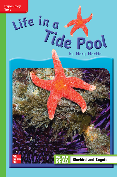 Reading Wonders Leveled Reader Life in a Tide Pool: Beyond Unit 4 Week 3 Grade 3