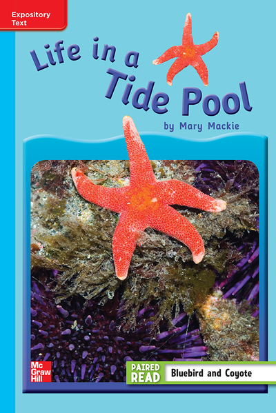 Reading Wonders Leveled Reader Life in a Tide Pool: On-Level Unit 4 Week 3 Grade 3