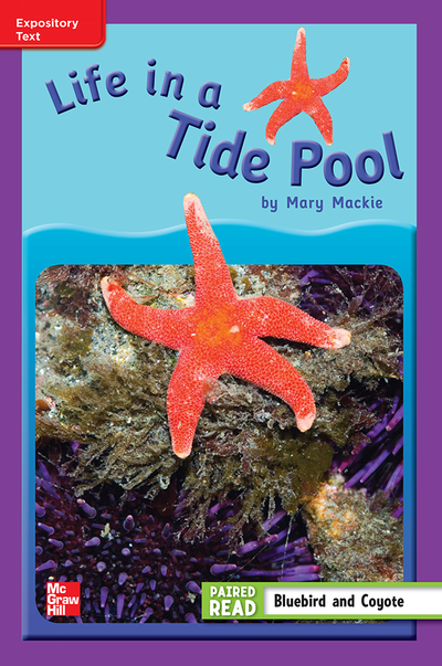 Reading Wonders Leveled Reader Life in a Tide Pool: ELL Unit 4 Week 3 Grade 3