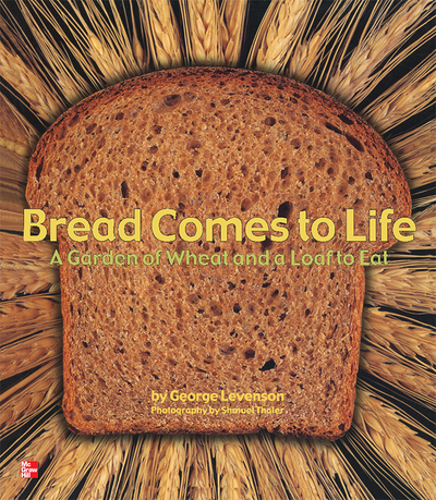 Reading Wonders Literature Big Book: Bread Comes to Life Grade K