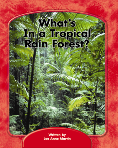 Wright Skills, What's in a Tropical Rain Forest? 6-pack