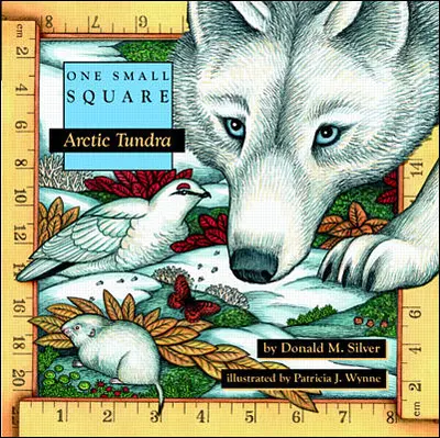 Arctic Tundra Arctic Tundra