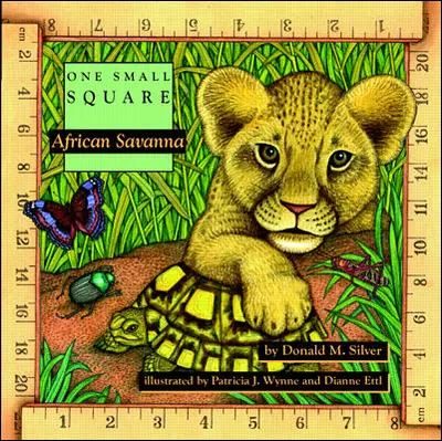 African Savanna African Savanna