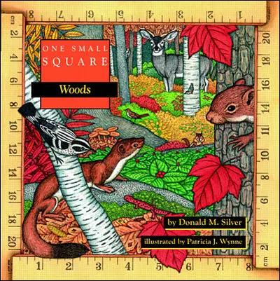 One Small Square: Woods One Small Square: Woods