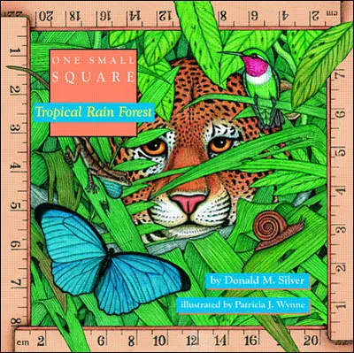 Tropical Rain Forest Tropical Rain Forest