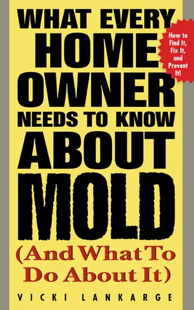 What Every Home Owner Needs to Know About Mold and What to Do About It What Every Home Owner Needs to Know About Mold and What to Do About It