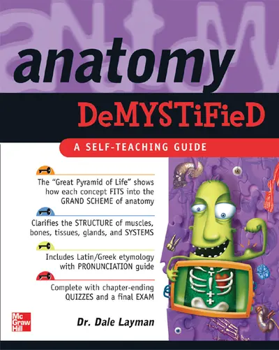 Anatomy Demystified Anatomy Demystified