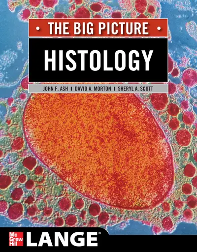 Histology: The Big Picture Histology: The Big Picture