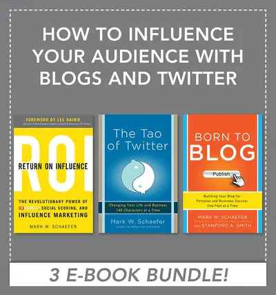 How to Influence Your Audience with Blogs and TwitterMKTGPRG How to Influence Your Audience with Blogs and TwitterMKTGPRG