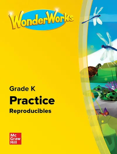 WonderWorks Practice Book Grade K NA