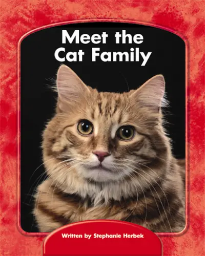 Wright Skills, Grade PreK-3, Meet the Cat Family 6-pack Wright Skills, Grade PreK-3, Meet the Cat Family 6-pack
