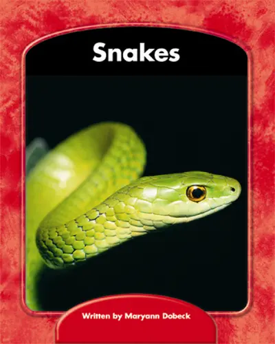 Wright Skills, Snakes 6-pack Wright Skills, Snakes 6-pack