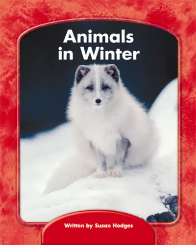Wright Skills, Animals in Winter 6-pack Wright Skills, Animals in Winter 6-pack
